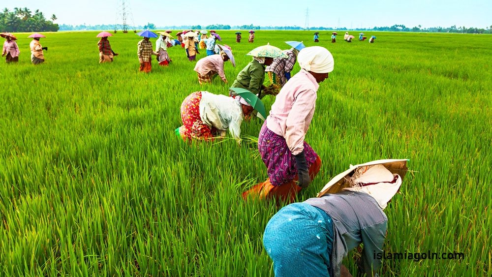 ৯ম ও ১০ম শ্রেণির - দাখিল স্তরের কৃষি শিক্ষা ২০২৩ 5 ৯ম ও ১০ম শ্রেণির - দাখিল স্তরের কৃষি শিক্ষা ২০২৩