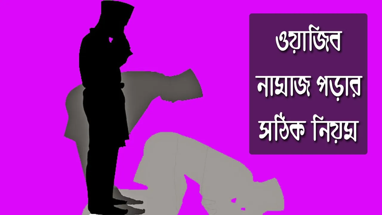বেতরের নামাজ আদায় করার নিয়ম | নামাজ শিক্ষা 1 বেতরের নামাজ আদায় করার নিয়ম বেতরের নামাজ আদায় করার নিয়ম | নামাজ শিক্ষা