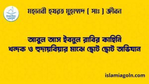 আবুল আস ইবনুল রাবির কাহিনি | খন্দক ও হুদায়বিয়ার মাঝে ছোট ছোট অভিযান