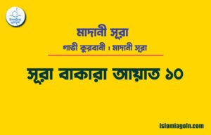 সূরা ২ আয়াত ১০, সূরা বাকারা আয়াত ১০ [ গাভী কুরবানী ] মাদানী সূরা । আল কুরআন